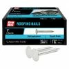 Top 10 ๐ Grip-Rite 1-in 11-Gauge Electro-Galvanized Steel Roofing Nails (1-lb) ๐ฏ 2 Top 10 ๐ Grip-Rite 1-in 11-Gauge Electro-Galvanized Steel Roofing Nails (1-lb) ๐ฏ -Roofing Sales Shop 00402005 scaled