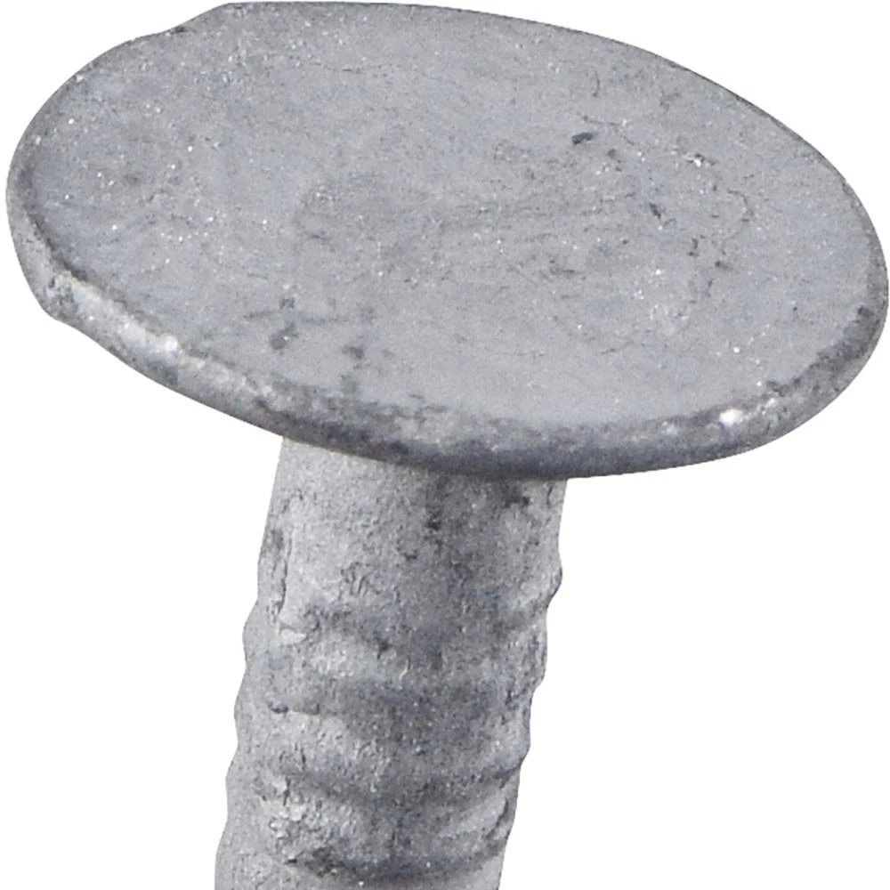 Best Pirce โ Fas-n-Tite 11-Gauge Electro-Galvanized Roofing Nails (5-lbs) ๐ 8 Best Pirce โ Fas-n-Tite 11-Gauge Electro-Galvanized Roofing Nails (5-lbs) ๐ - Image 6