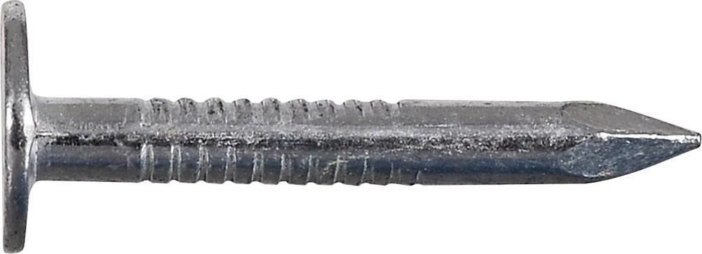 Promo π Fas-n-Tite 1-in 11-Gauge Electro-Galvanized Steel Roofing Nails (5-lbs) 𧨠4 Promo π Fas-n-Tite 1-in 11-Gauge Electro-Galvanized Steel Roofing Nails (5-lbs) 𧨠- Image 2