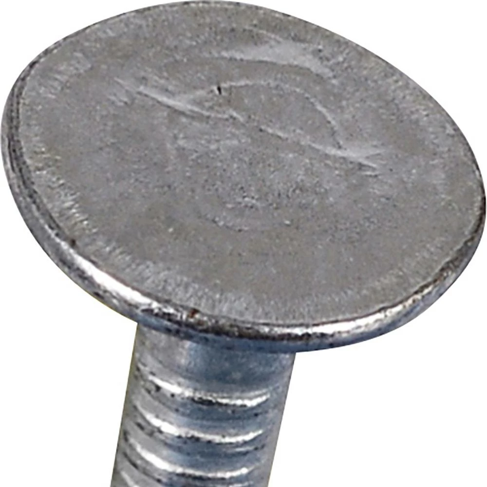 Promo π Fas-n-Tite 1-in 11-Gauge Electro-Galvanized Steel Roofing Nails (5-lbs) 𧨠8 Promo π Fas-n-Tite 1-in 11-Gauge Electro-Galvanized Steel Roofing Nails (5-lbs) 𧨠- Image 6