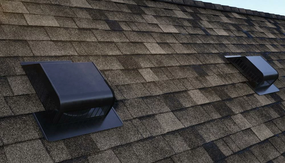 Flash Sale β Air Vent Roof Louvers Black Aluminum Slant-Back Roof Louver 𧨠11 Flash Sale β Air Vent Roof Louvers Black Aluminum Slant-Back Roof Louver 𧨠- Image 9